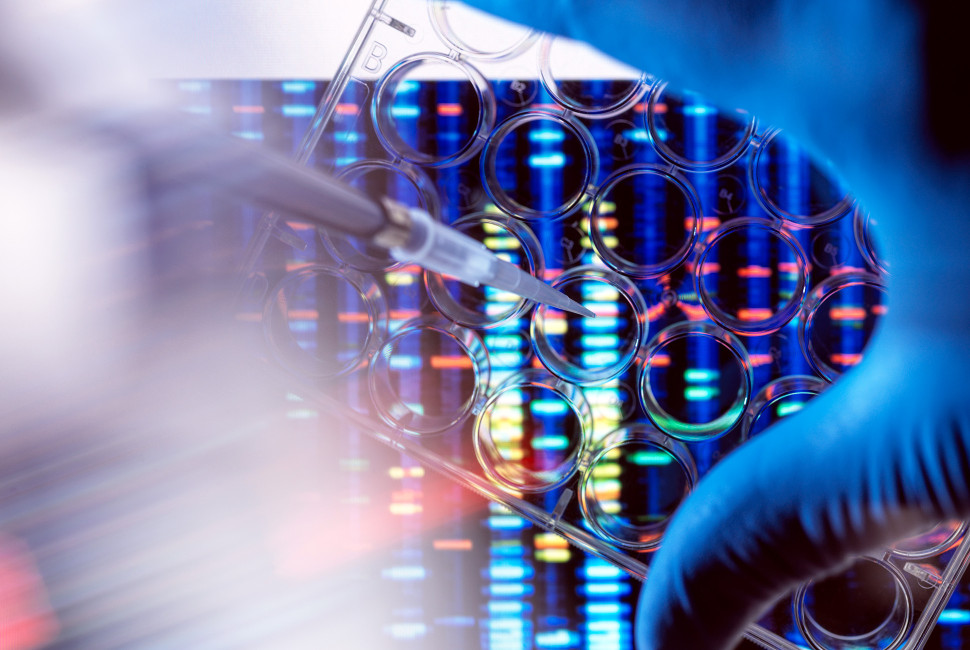 Feature image Ryan Family Research Acceleration Fund